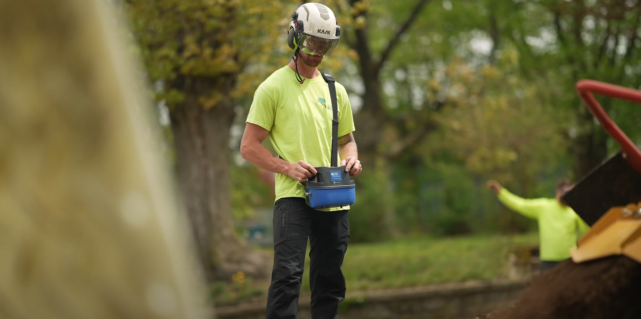 Certified arborist performing tree trimming in Lynwood, CA